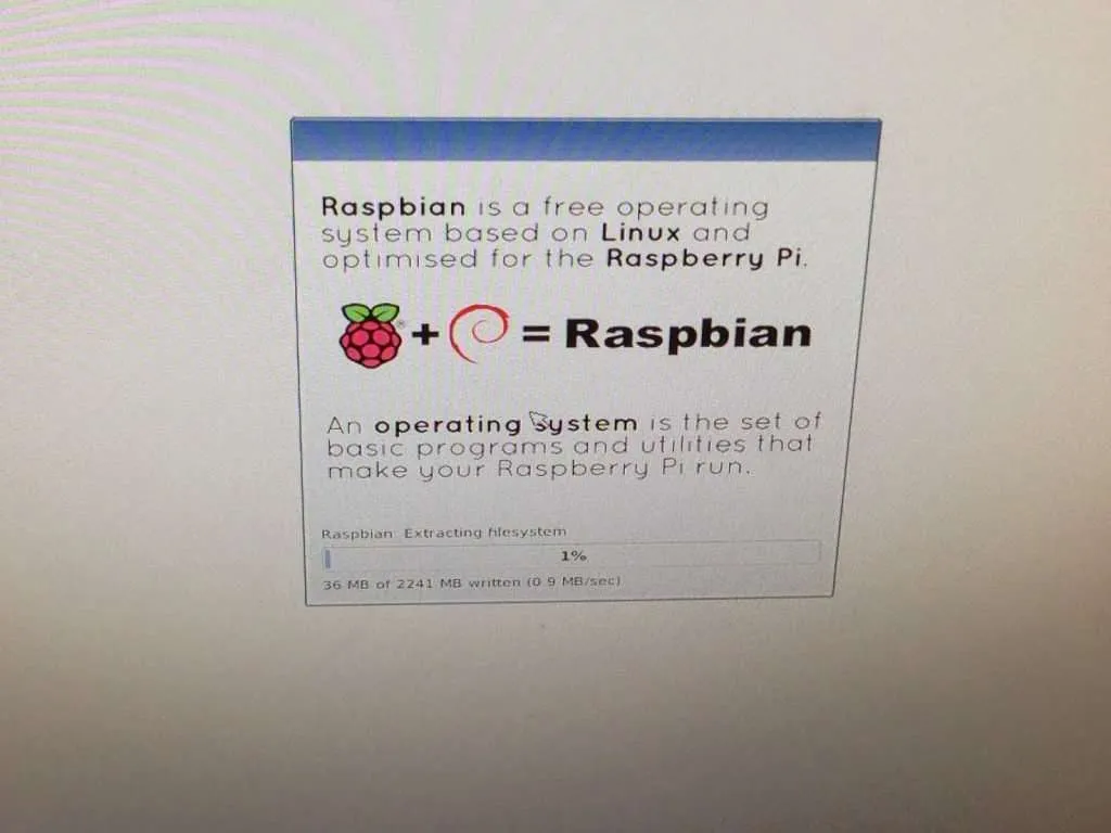 Raspberry