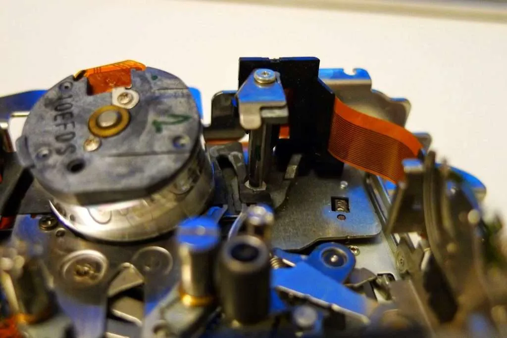 P1110233-1024x684.jpg